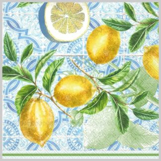 Boston International Citrus Limon Lunch Napkins