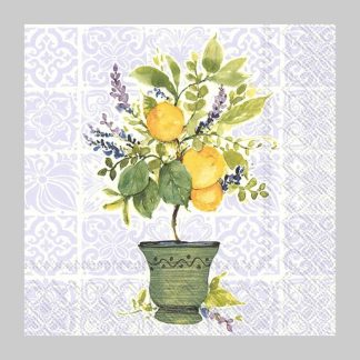 Boston International Lemon Tree Cocktail Napkins