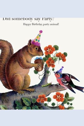 Birthday - P. Flynn Designs "Did Somebody Say Party?"