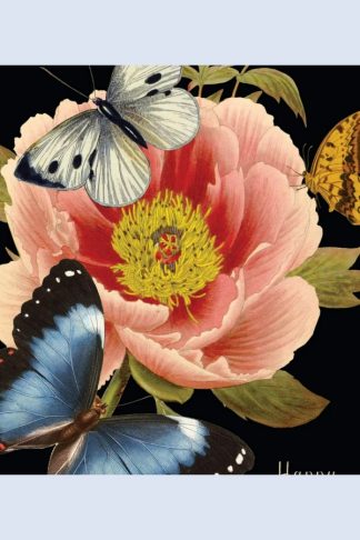 Birthday - P. Flynn Desings "Happy Birthday" (Butterflies)