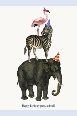 Birthday - P. Flynn Designs "Happy Birthday Party Animal"