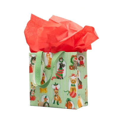 Caspari Gift Bag Presenting Pets-Small - Image 4