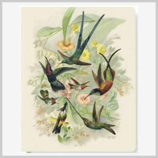 Hummingbird Journal