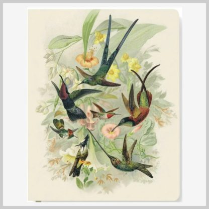 Hummingbird Journal