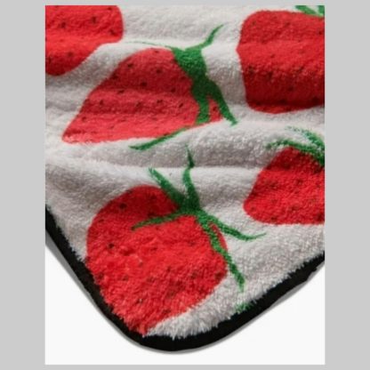 Geometry Plush Dog Towel-Strawberry Sniff