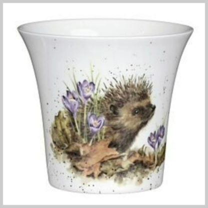 Garden Herb Pot "Hedgehog"