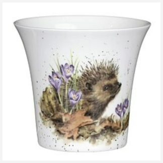 Garden Herb Pot "Hedgehog"