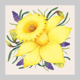 Hester & Cook Daffodil Cocktail Napkins