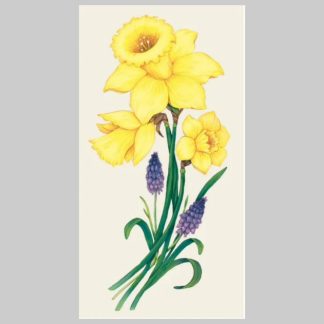 Hester & Cook Daffodil Guest Napkins