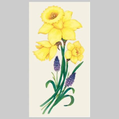 Hester & Cook Daffodil Guest Napkins
