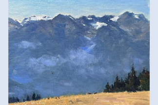 W. Jason Situ "View at the Top of Olympic National Park"