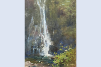 W. Jason Situ "Waterfall in Olympic National Park"