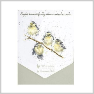 Notecard Pack "Hanging Out"