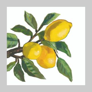 Paper Products Design Lemon Musee Cocktail Napkins-White