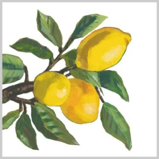 Paper Products Design Lemon Musee Lunch Napkins-White