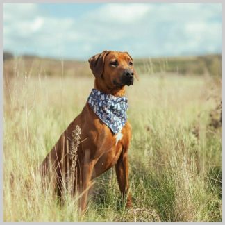 Wrendale Pet-Dog Bandana M-L