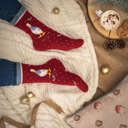 Socks "Christmas Duck" by Wrendale Designs - Image 2