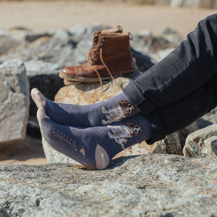 Wrendale Men's Socks "Willow Spaniel" - Image 2